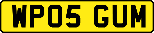 WP05GUM