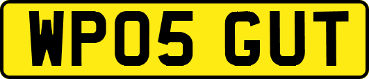 WP05GUT