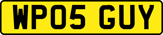 WP05GUY