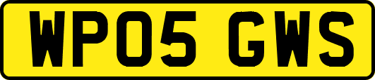 WP05GWS