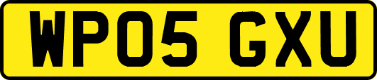 WP05GXU