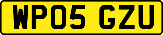WP05GZU
