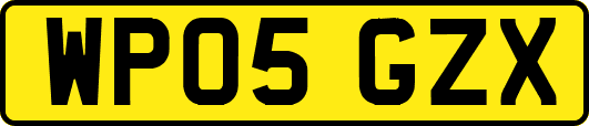 WP05GZX