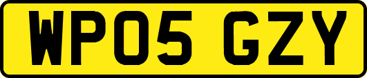 WP05GZY