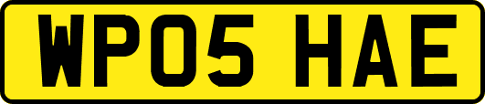 WP05HAE