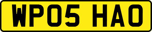 WP05HAO