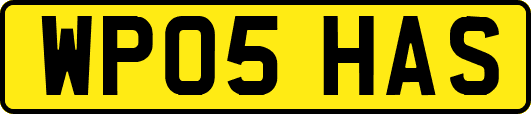 WP05HAS