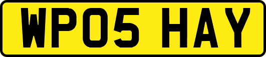 WP05HAY