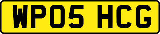 WP05HCG