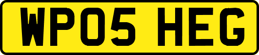 WP05HEG
