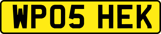 WP05HEK