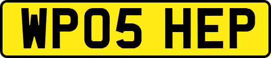 WP05HEP