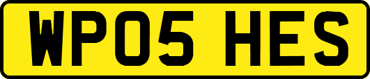 WP05HES