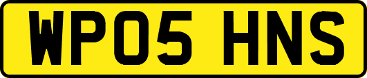 WP05HNS
