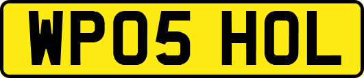 WP05HOL