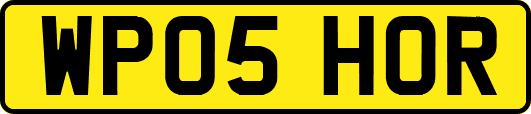 WP05HOR