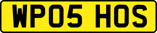 WP05HOS