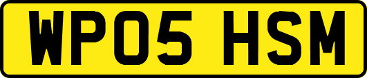 WP05HSM