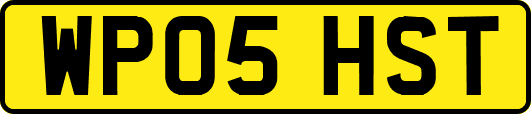 WP05HST