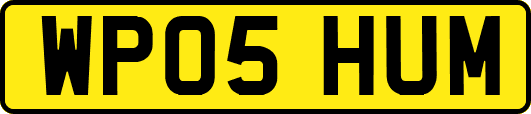 WP05HUM