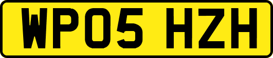 WP05HZH