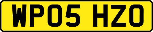WP05HZO