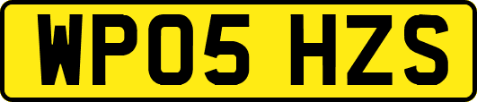 WP05HZS