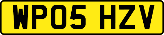 WP05HZV