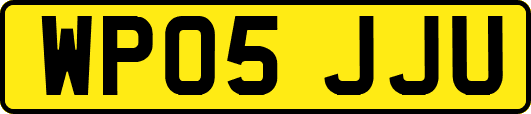 WP05JJU