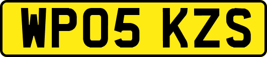 WP05KZS