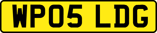 WP05LDG