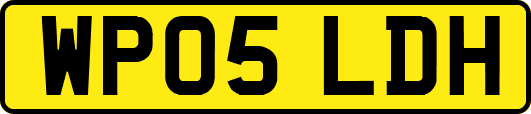 WP05LDH