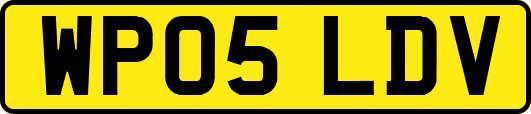 WP05LDV
