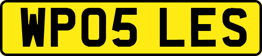 WP05LES