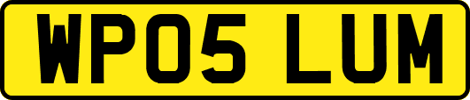 WP05LUM