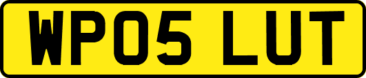 WP05LUT