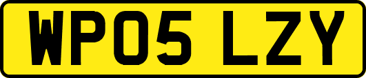 WP05LZY