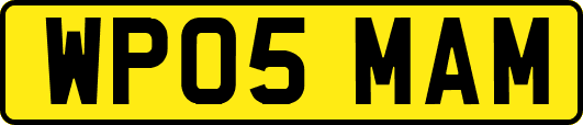 WP05MAM