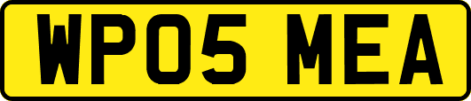 WP05MEA