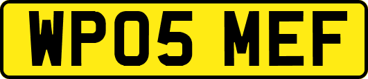 WP05MEF