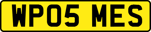 WP05MES