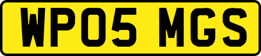 WP05MGS