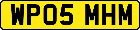WP05MHM