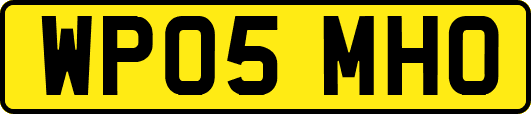 WP05MHO