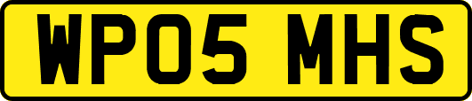 WP05MHS