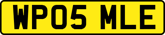 WP05MLE