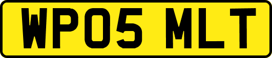 WP05MLT