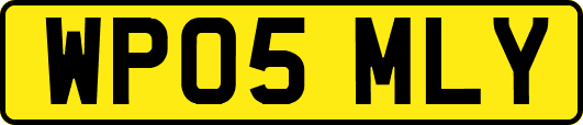 WP05MLY