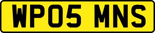WP05MNS