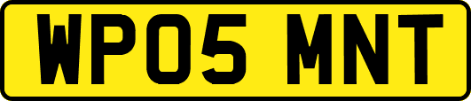 WP05MNT